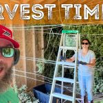Veteran Owned CBD Company and Farm