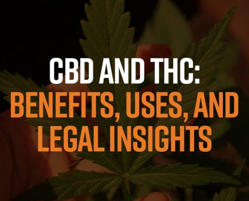 CBD and THC: Benefits, Uses, and Legal Insights