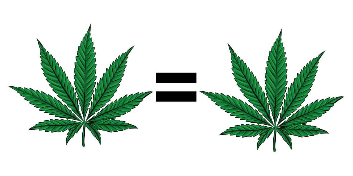 THCA Hemp Flower: Raw Cannabis Without Heating & the Effects of Decarboxylation