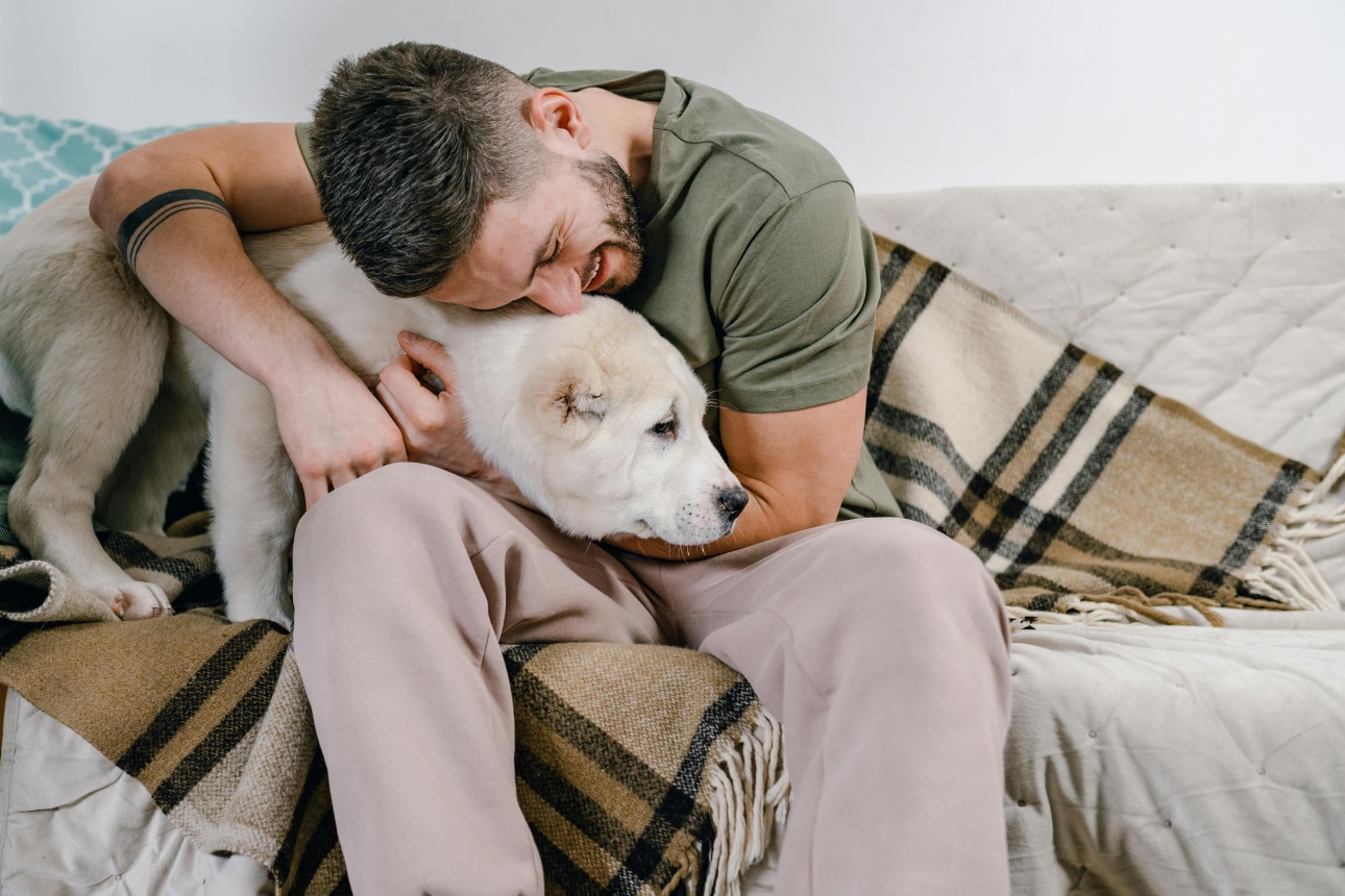 For the Dogs: Why More Pet Owners Are Turning to CBD Treats & Oil